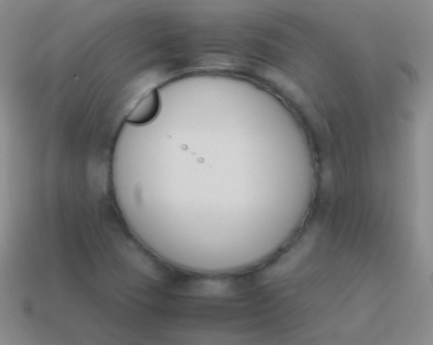 X0000114231409200910231454