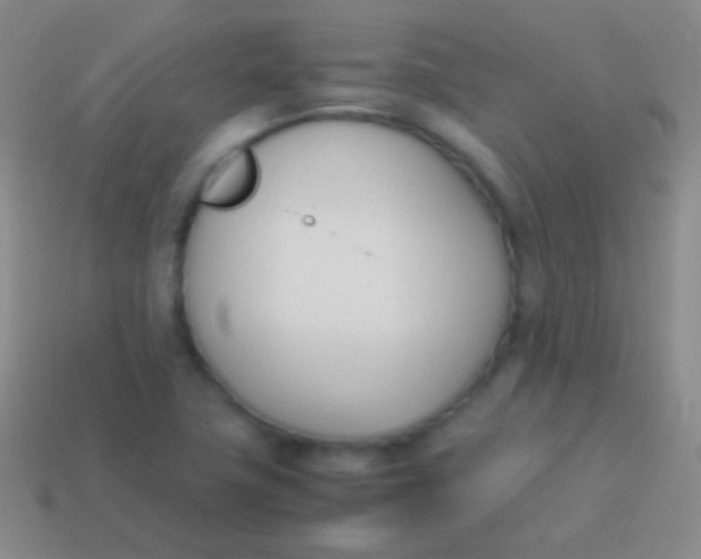 X0000114231411200910231454