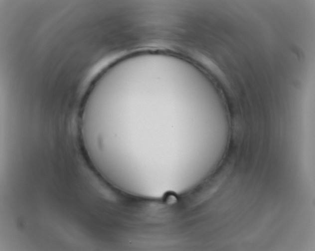 X0000114231412200910231454