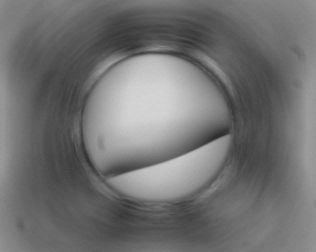X0000114231417200910231454