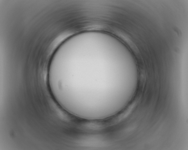 X0000114231418200910231454