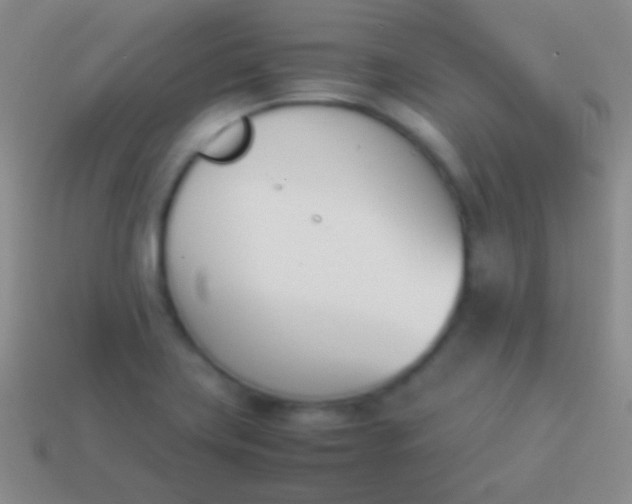 X0000114231419200910231454