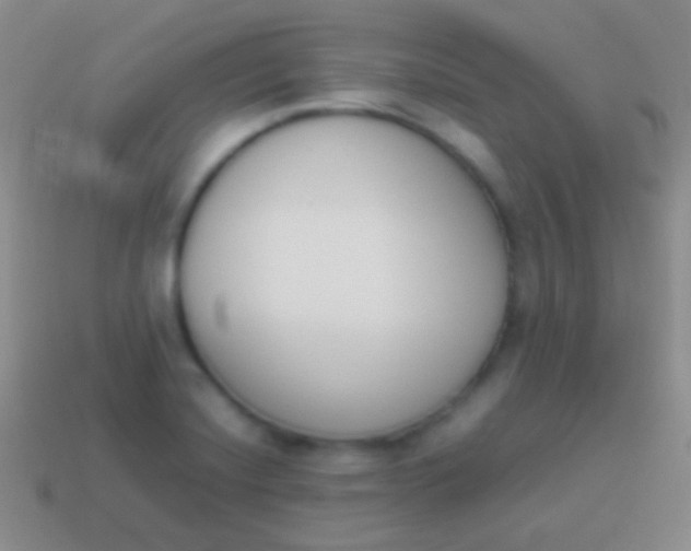 X0000114231420200910231454