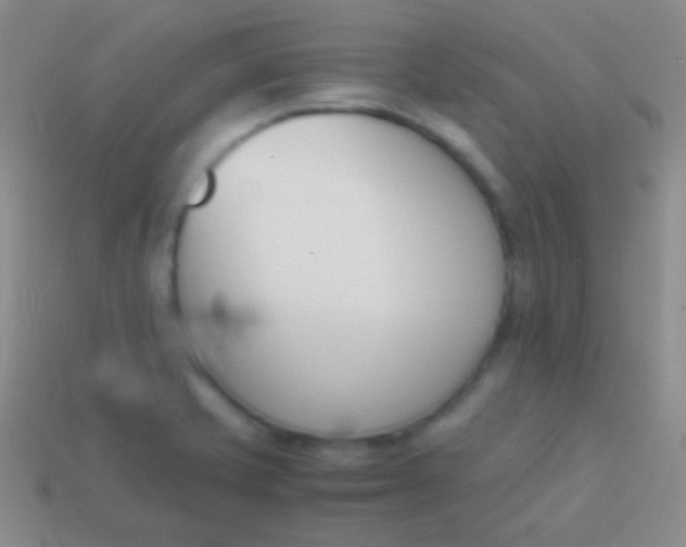 X0000114231421200910231454