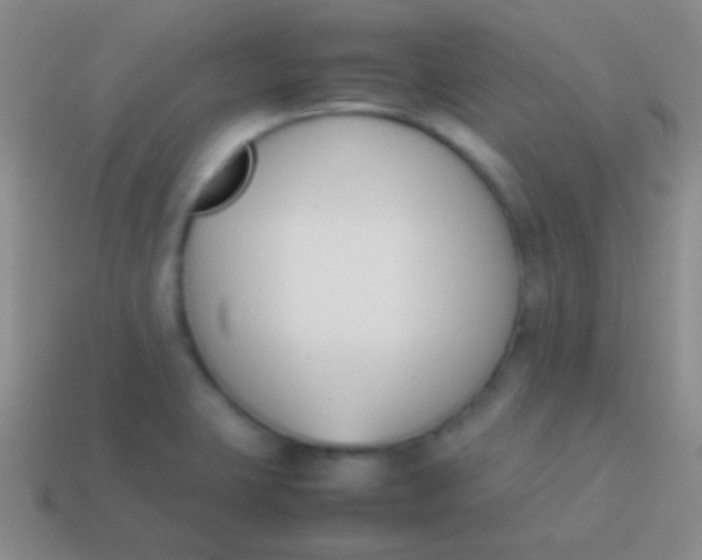 X0000114231423200910231454