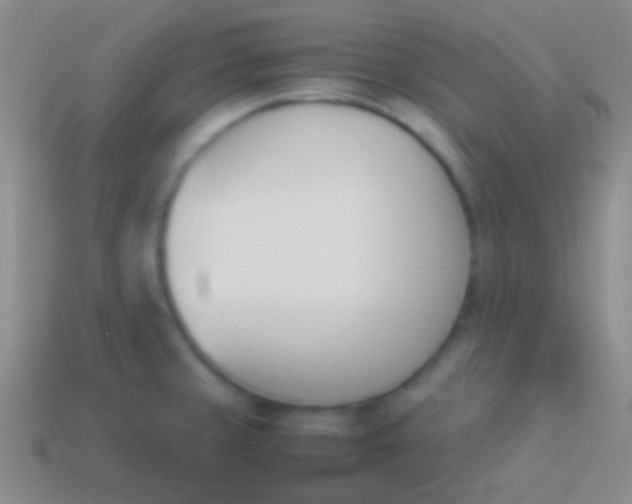 X0000114231429200910231454