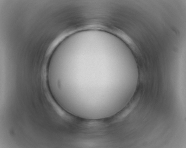 X0000114231430200910231454