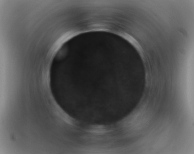 X0000114231431200910231454