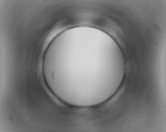 X0000114231432200910231454