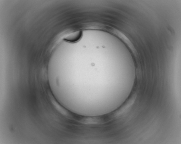 X0000114231433200910231454