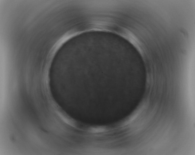 X0000114231435200910231454