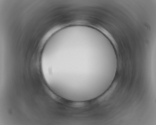 X0000114231437200910231454