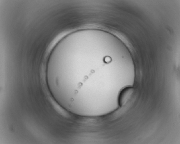 X0000114231438200910231454