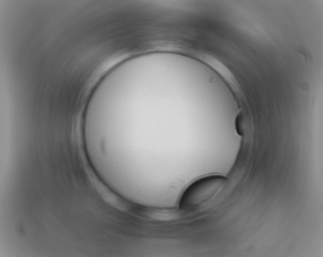 X0000114231439200910231454