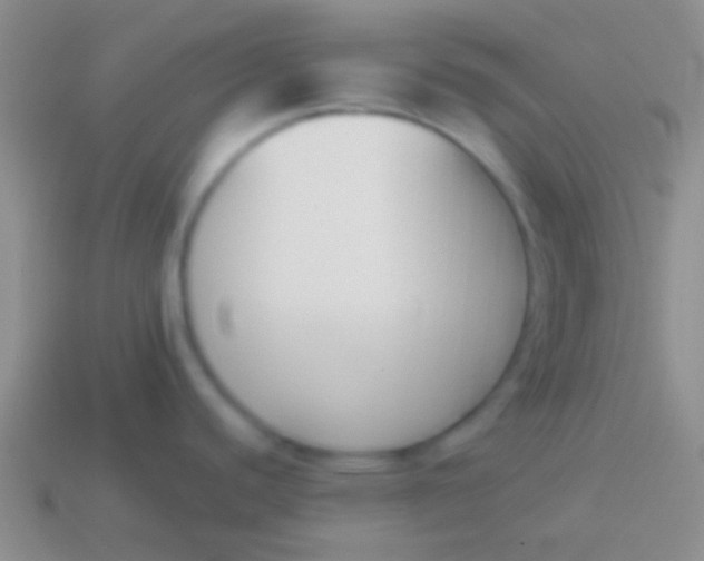 X0000114231440200910231454