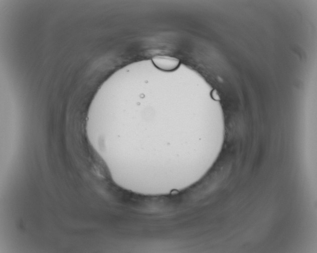 X0000114231441200910231454