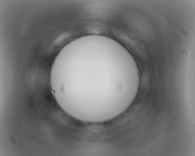 X0000114231446200910231454