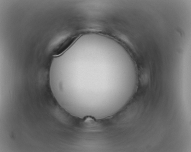 X0000114231448200910231454