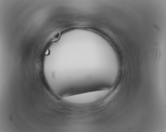 X0000114231449200910231454