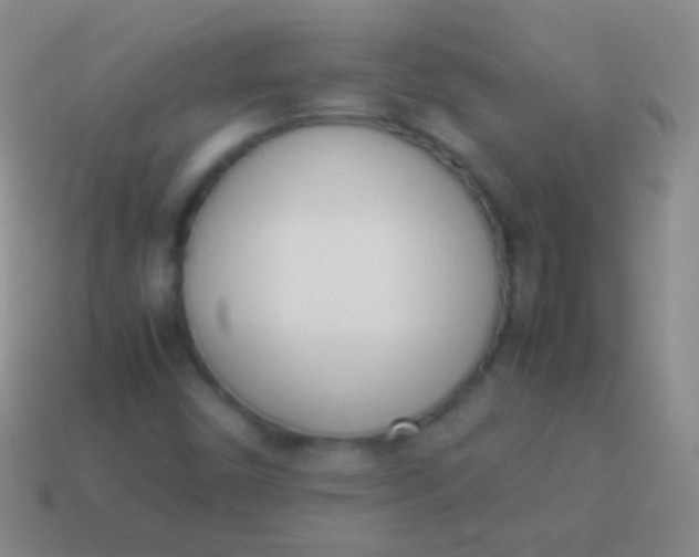 X0000114231450200910231454