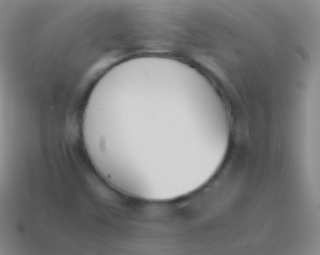X0000114231451200910231454