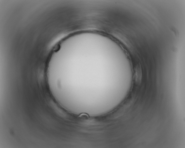 X0000114231452200910231454