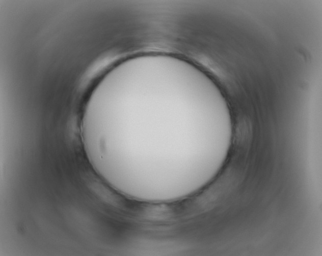 X0000114231454200910231454
