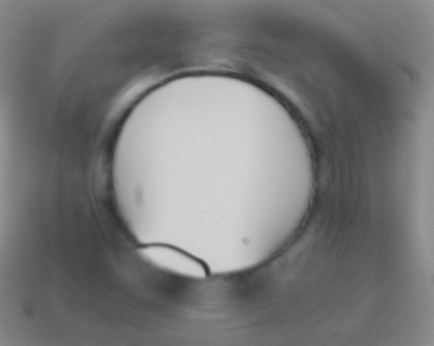 X0000114231455200910231454