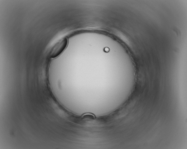 X0000114231456200910231454