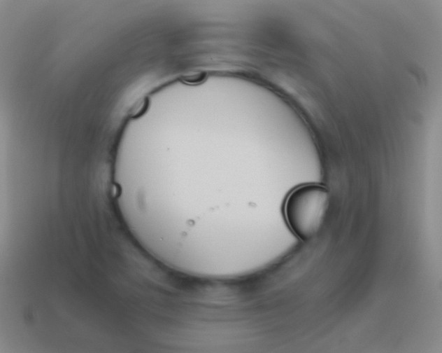 X0000114231459200910231454