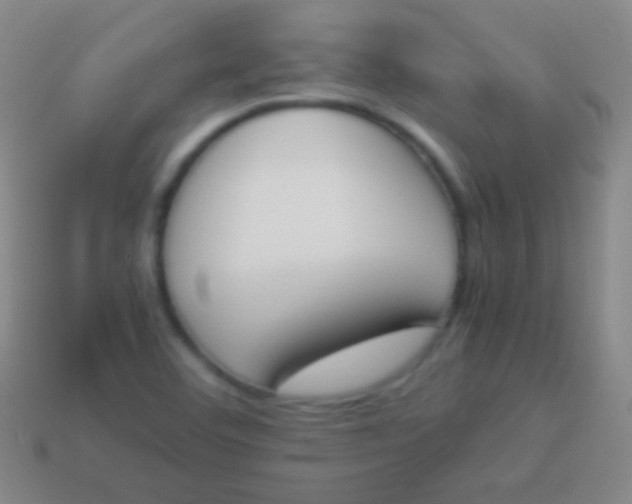 X0000114231460200910231454