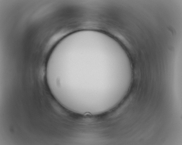 X0000114231461200910231454