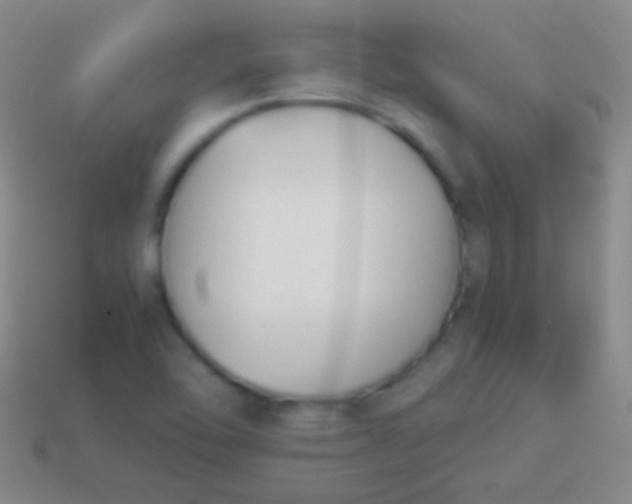X0000114231462200910231454