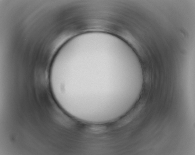 X0000114231466200910231453