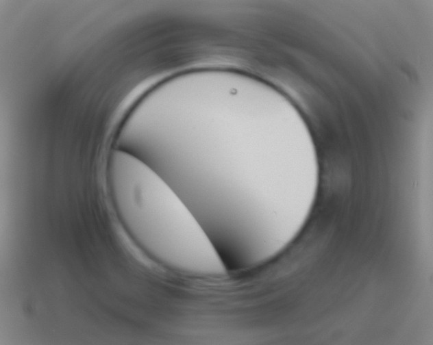 X0000114231468200910231453