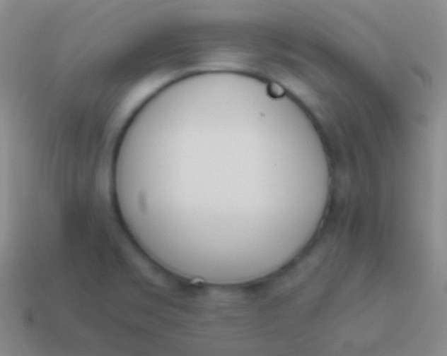 X0000114231469200910231453