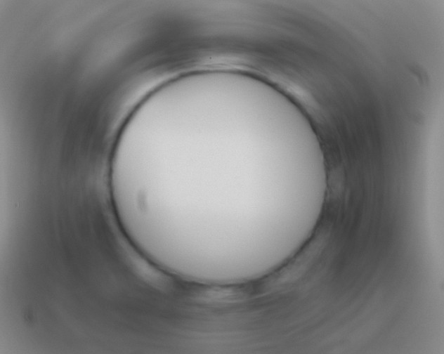 X0000114231470200910231453