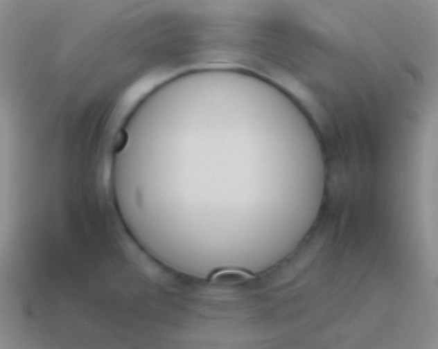X0000114231472200910231453
