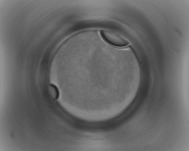 X0000114231473200910231453
