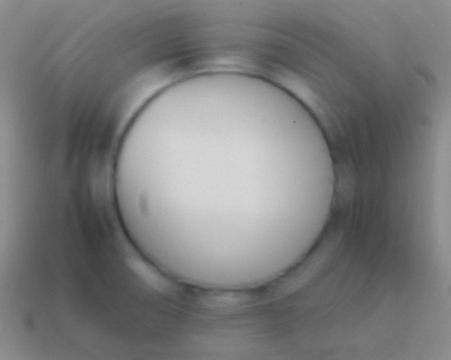 X0000114231474200910231453
