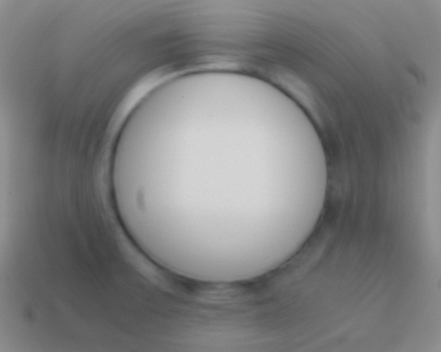 X0000114231475200910231453
