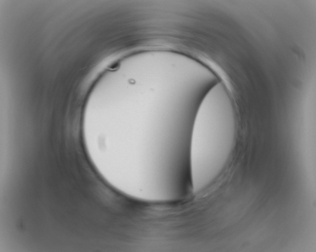 X0000114231477200910231453