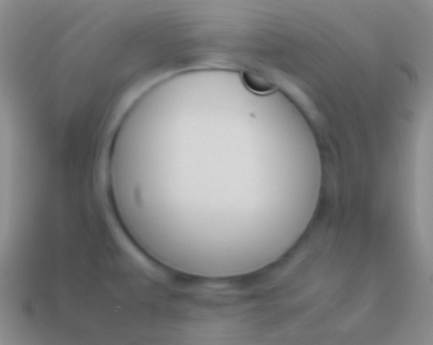 X0000114231479200910231453