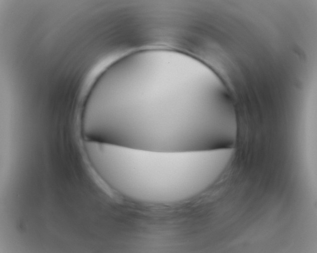 X0000114231480200910231453