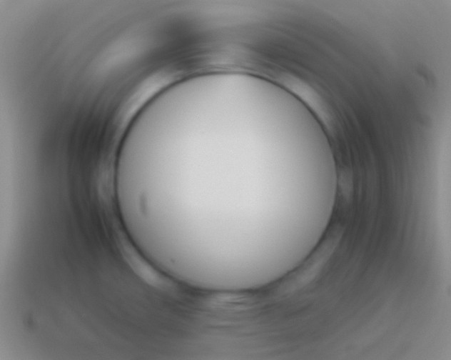 X0000114231482200910231453