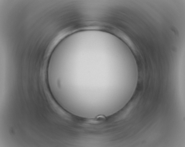 X0000114231483200910231453