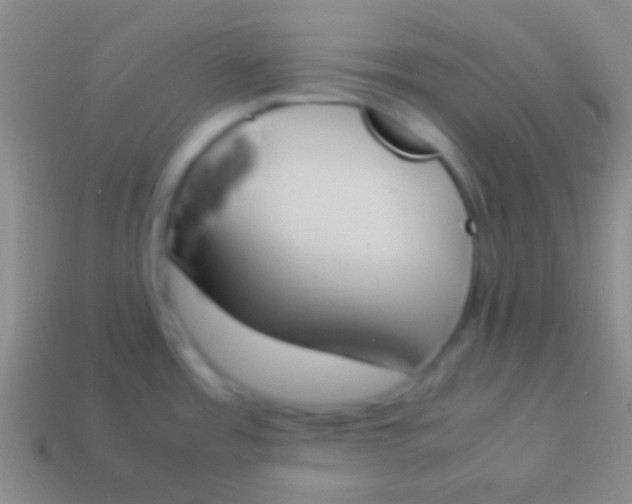 X0000114231485200910231453