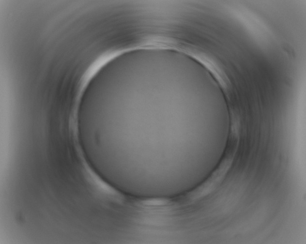 X0000114231486200910231453