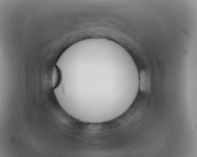 X0000114231491200910231453