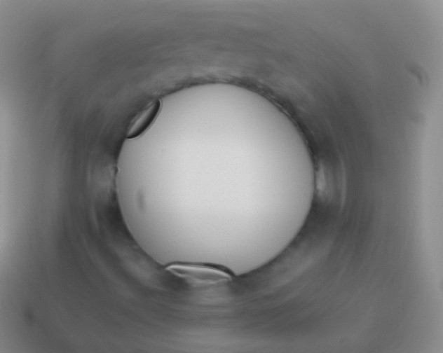 X0000114231492200910231453
